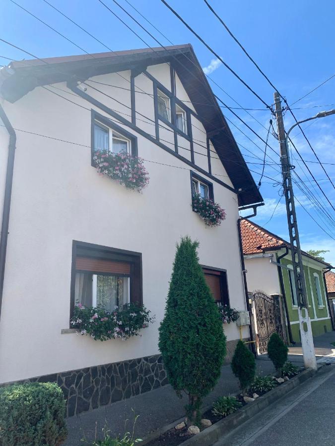 Pensiunea Stoian Cristian  Exterior foto